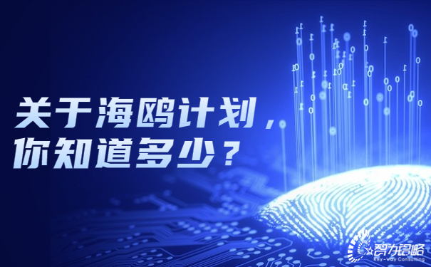 關于海鷗計劃，你知道多少？.jpg