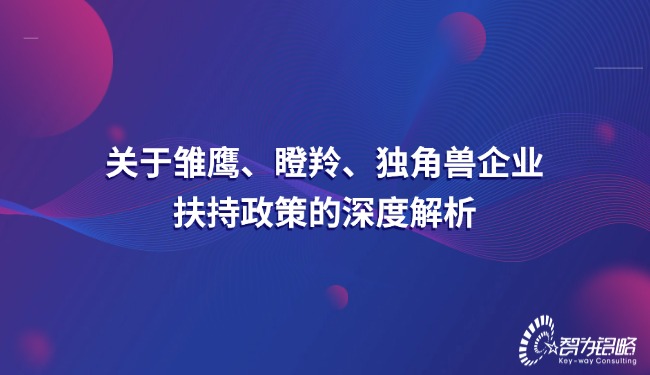 關于雛鷹、瞪羚、獨角獸企業扶持政策的深度解析.jpg