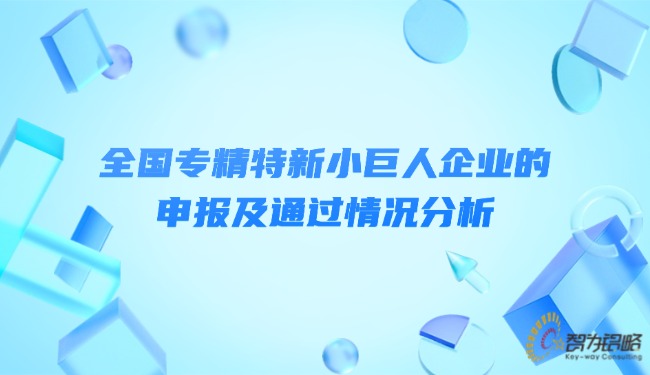 全國專精特新小巨人企業的申報及通過情況分析.jpg