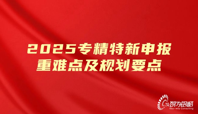 2025專精特新申報(bào)重難點(diǎn)及規(guī)劃要點(diǎn).jpg