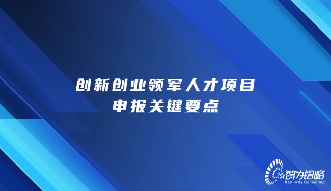 創新創業領軍人才項目咨詢關鍵要點